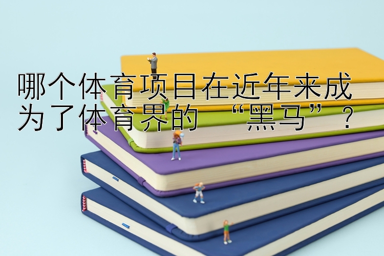 哪个体育项目在近年来成为了体育界的 “黑马”？