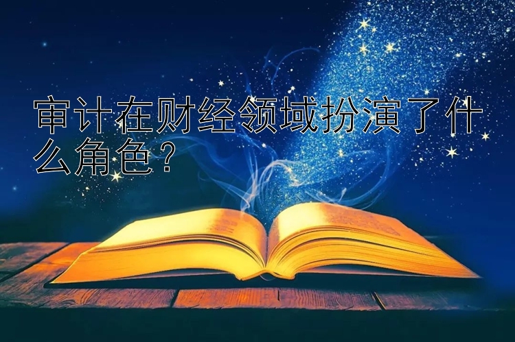 审计在财经领域扮演了什么角色？