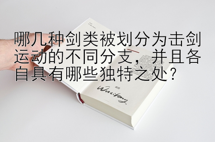 哪几种剑类被划分为击剑运动的不同分支，并且各自具有哪些独特之处？