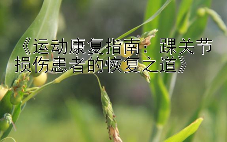 《运动康复指南：踝关节损伤患者的恢复之道》