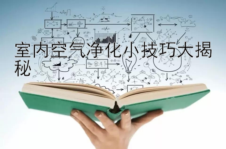 室内空气净化小技巧大揭秘