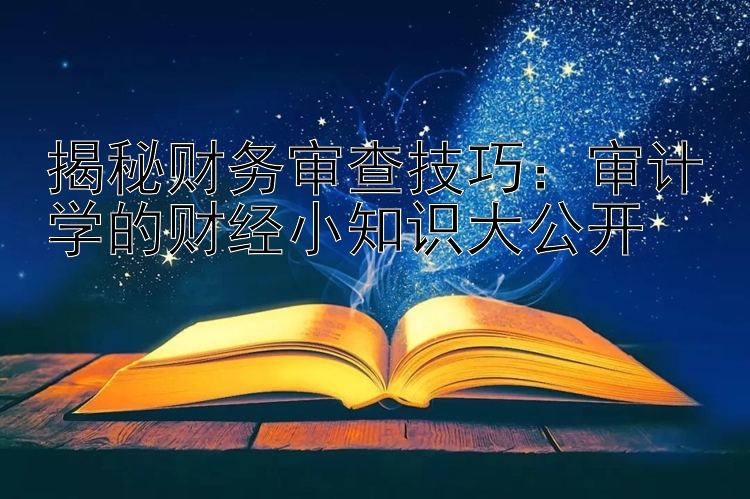 揭秘财务审查技巧：审计学的财经小知识大公开