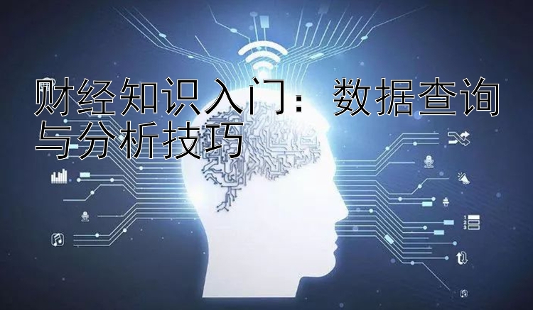 财经知识入门：数据查询与分析技巧