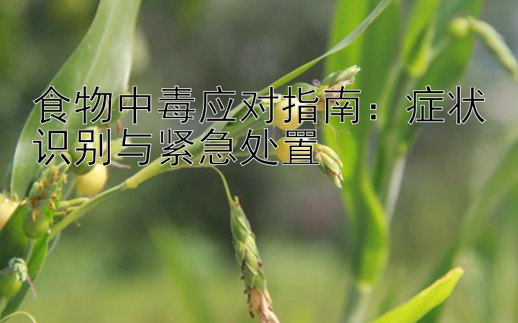 食物中毒应对指南：症状识别与紧急处置