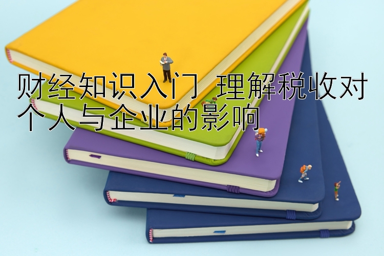 财经知识入门 理解税收对个人与企业的影响