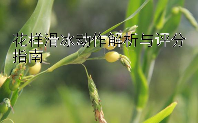 花样滑冰动作解析与评分指南