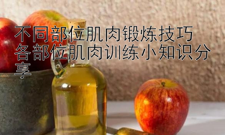 不同部位肌肉锻炼技巧  
各部位肌肉训练小知识分享