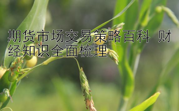 期货市场交易策略百科 财经知识全面梳理