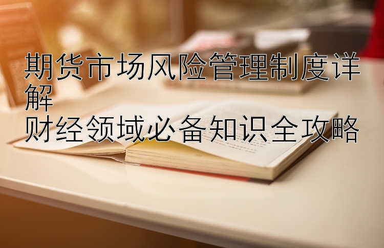 期货市场风险管理制度详解  
财经领域必备知识全攻略