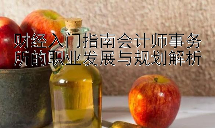 财经入门指南会计师事务所的职业发展与规划解析