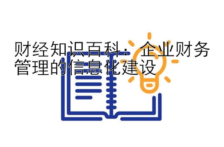 财经知识百科：企业财务管理的信息化建设