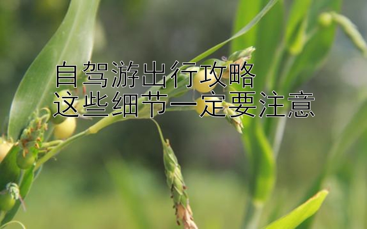 自驾游出行攻略  
这些细节一定要注意