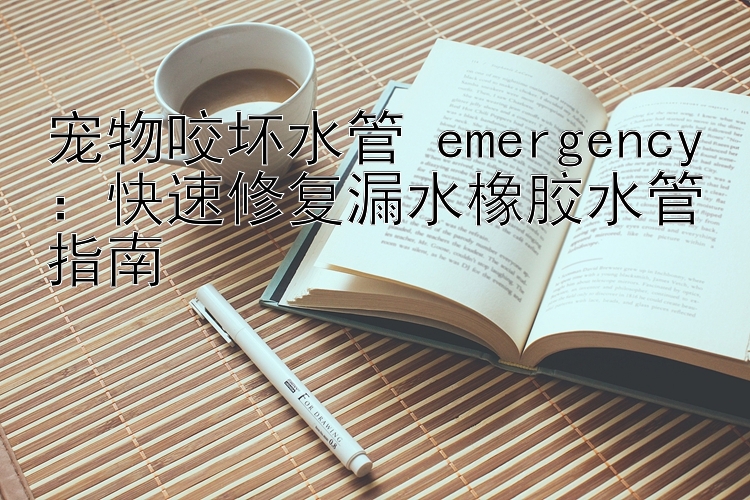 宠物咬坏水管 emergency：快速修复漏水橡胶水管指南