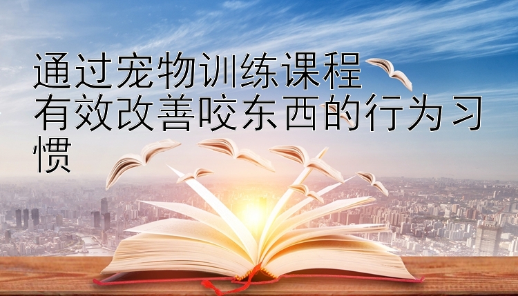 通过宠物训练课程  
有效改善咬东西的行为习惯