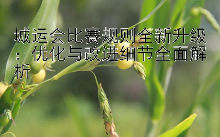 城运会比赛规则全新升级：优化与改进细节全面解析