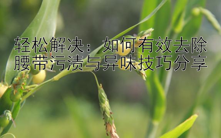 轻松解决：如何有效去除腰带污渍与异味技巧分享