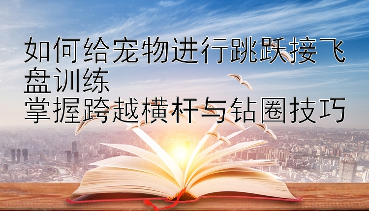 如何给宠物进行跳跃接飞盘训练  
掌握跨越横杆与钻圈技巧