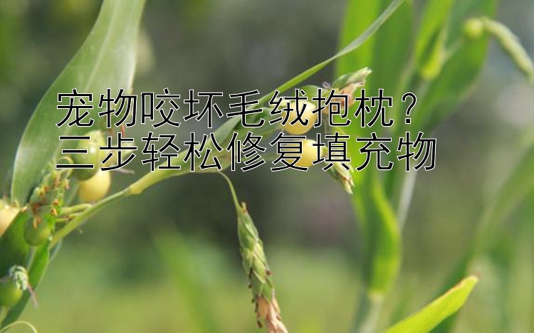 宠物咬坏毛绒抱枕？  
三步轻松修复填充物