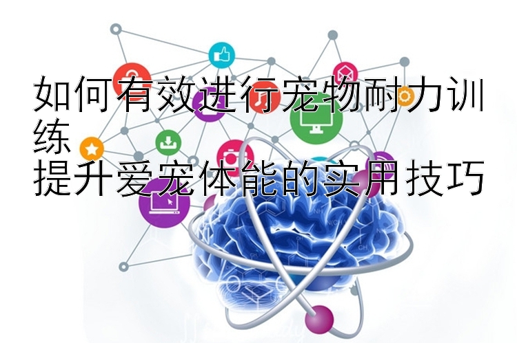 如何有效进行宠物耐力训练  
提升爱宠体能的实用技巧