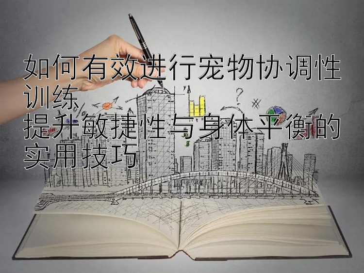 如何有效进行宠物协调性训练  
提升敏捷性与身体平衡的实用技巧