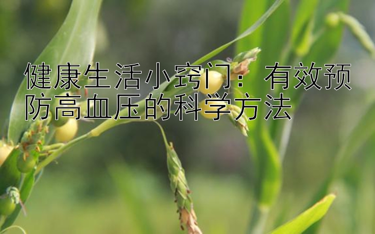 健康生活小窍门：有效预防高血压的科学方法