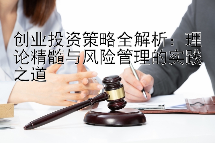 创业投资策略全解析：理论精髓与风险管理的实践之道